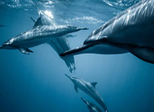 开云体育入口-开云kaiyun首页：开启智能云服务新时代